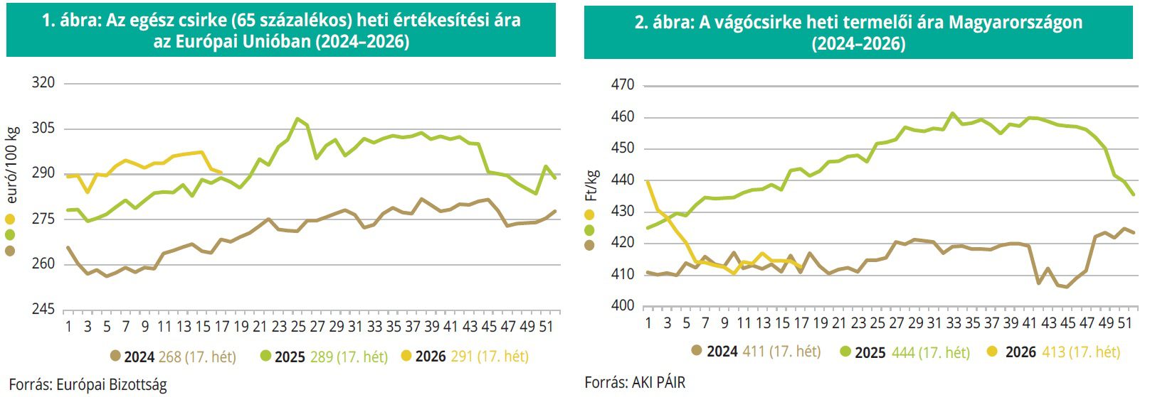 egesz_csirke_vagocsirke_aki_20