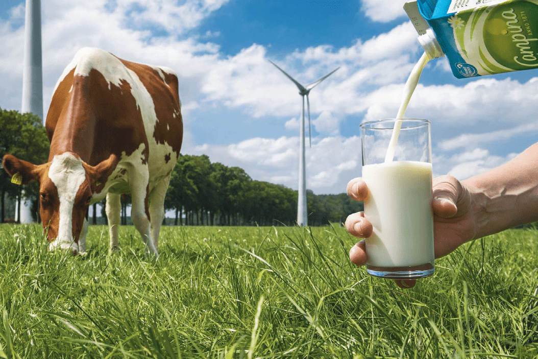 Így működik a holland farmok fenntarthatósági modellje