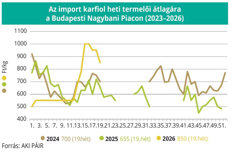 import_karfiol_termeli_atlagara