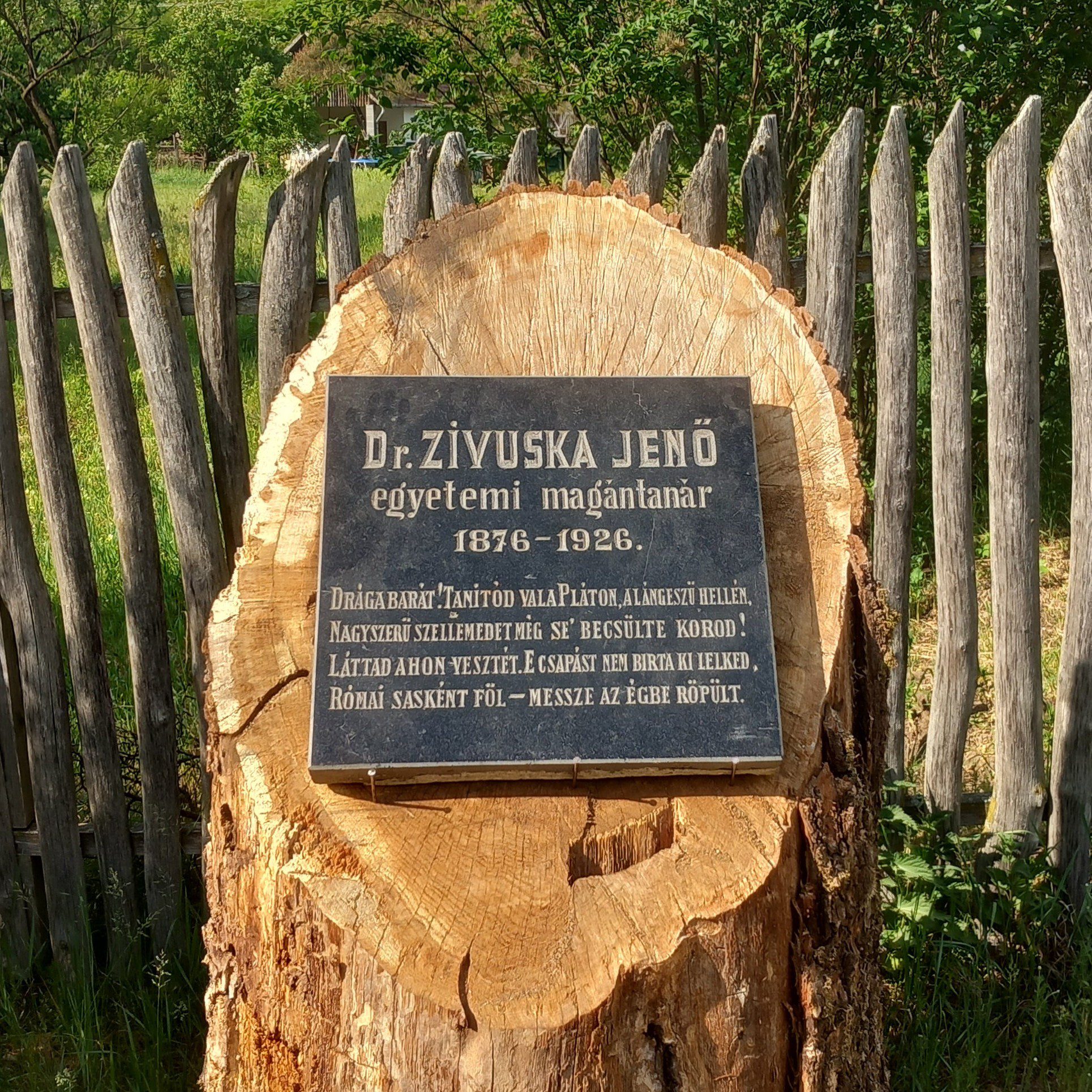 Zivuska Jenő