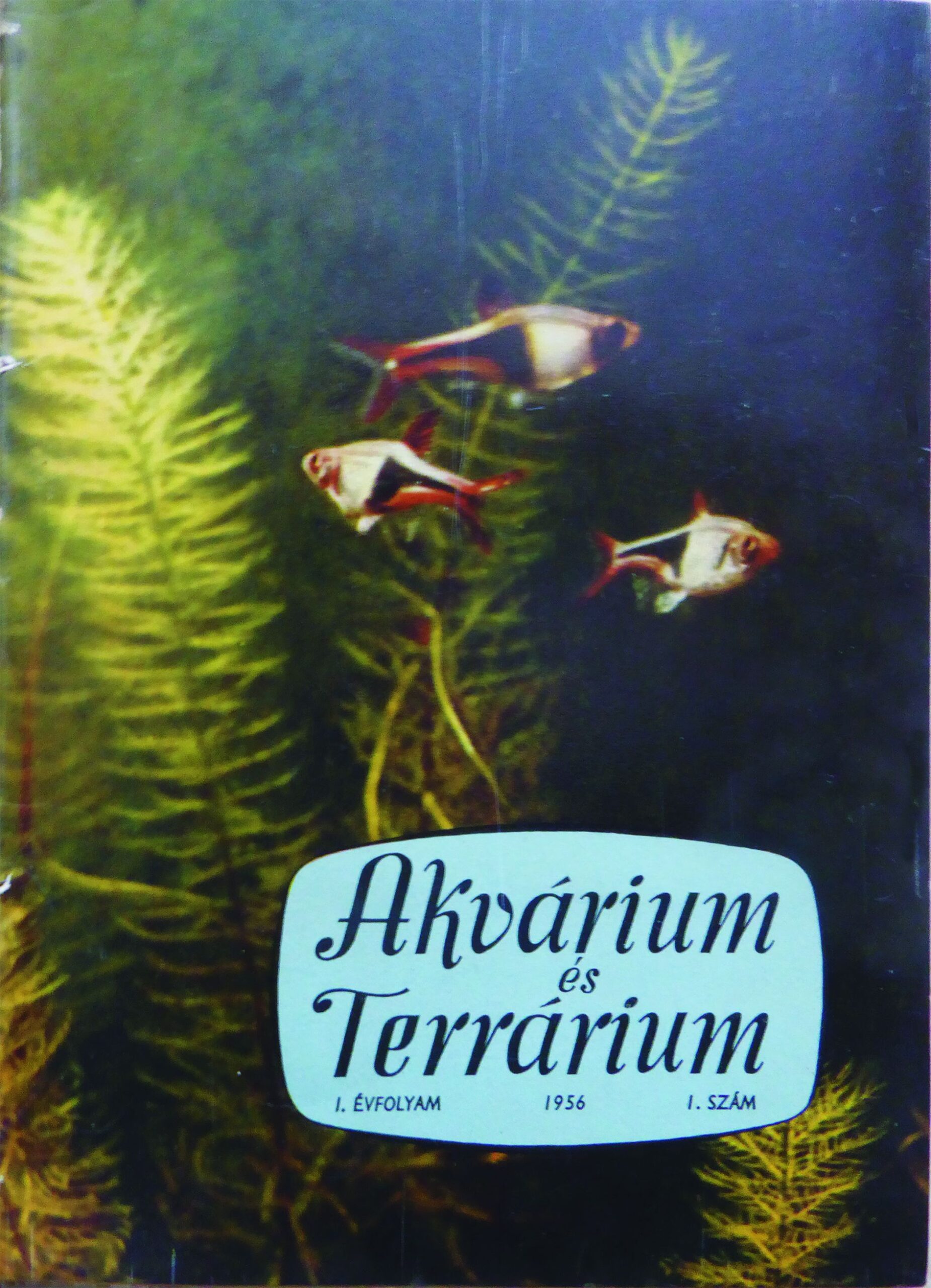 Akvárium és terrárium