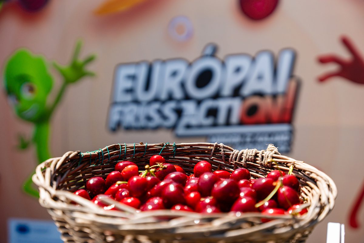 Europai_Friss_Akcio