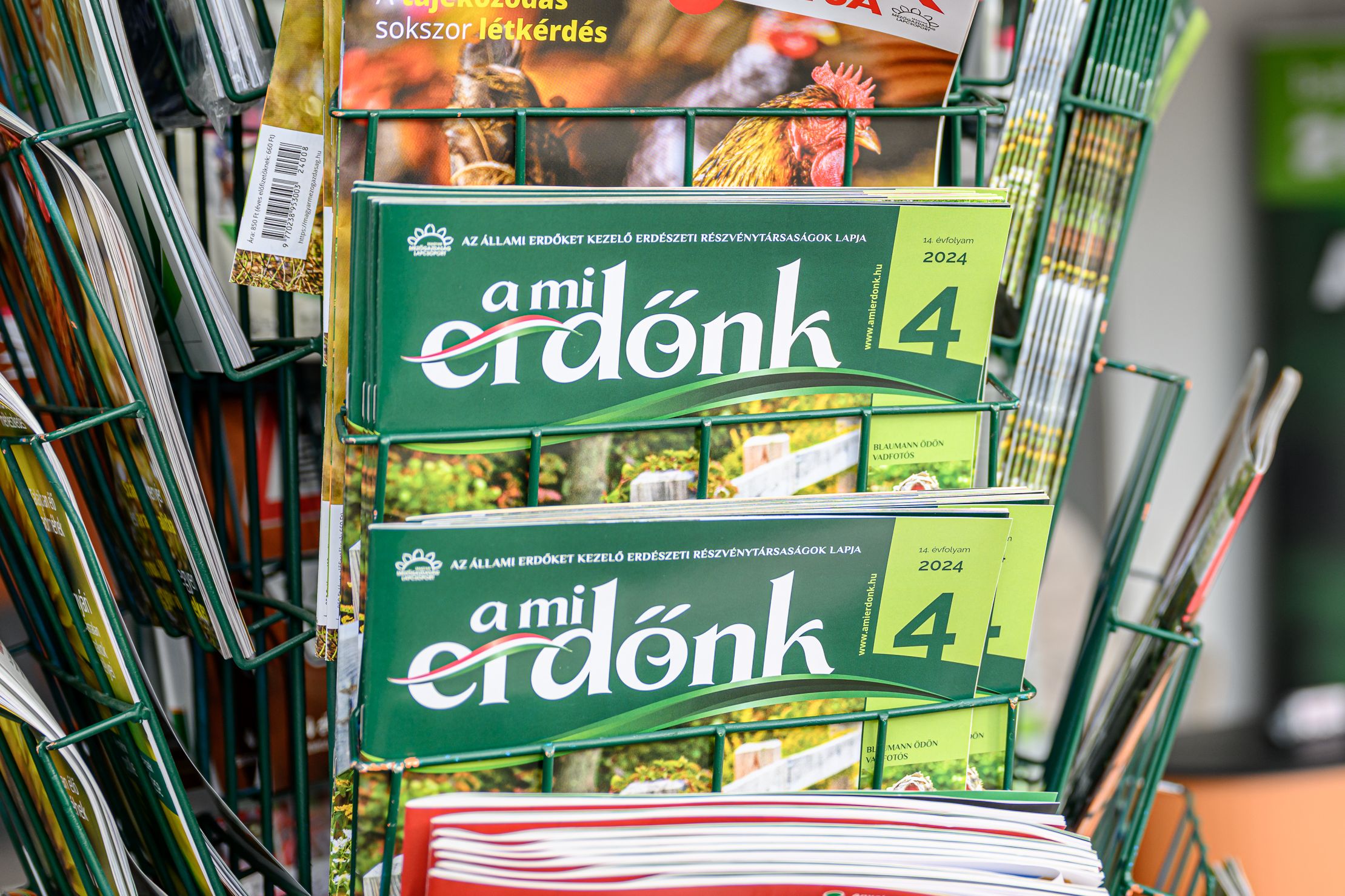 a mi erdőnk kommunikáció