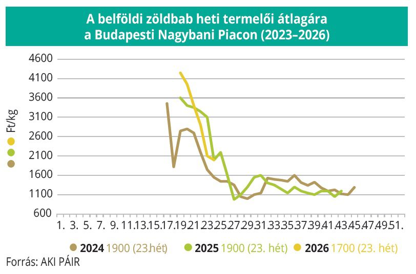 belfoldi_zoldbab_23-26