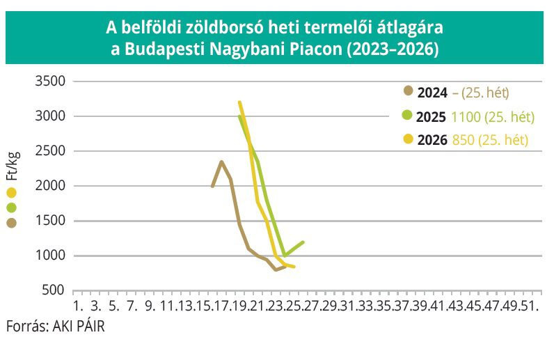 belfoldi_zoldborso_aki_2023-2026