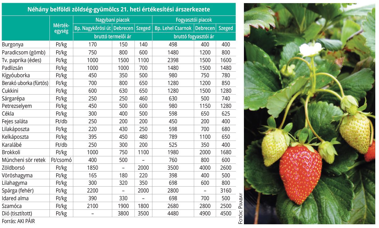 belfoldi_zoldseg_gyum_21het