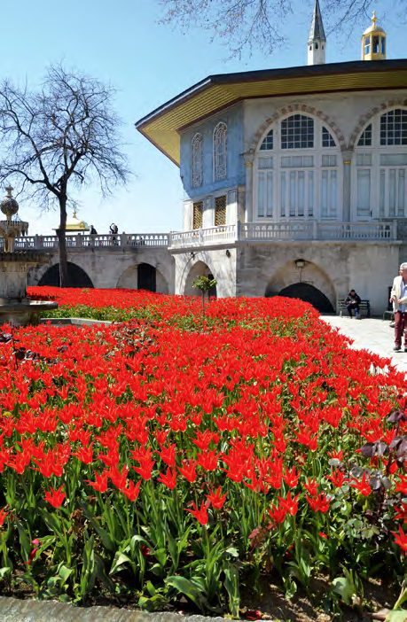 A tulipánok az oszmán kertekben éltékvirágkorukat a 18. században (Topkapi Szeráj, Isztambul, Törökország)