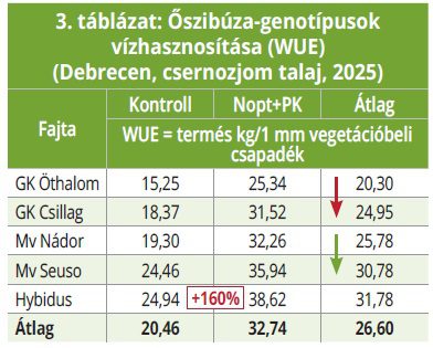 3. táblázat: Őszibúza-genotípusok vízhasznosítása (WUE) (Debrecen, csernozjom talaj, 2025)