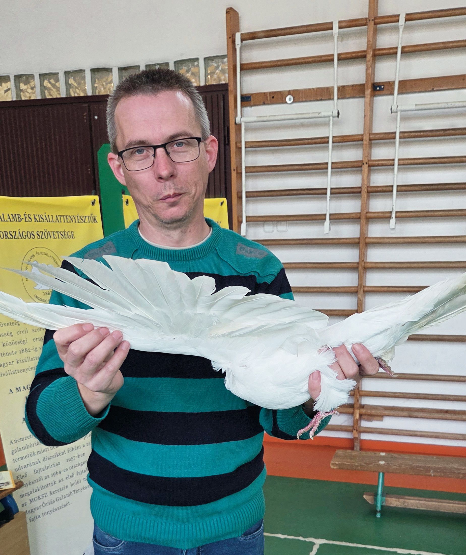 Heincz László, a Magyar Galamb- és Kisállattenyésztők Országos Szövetsége (MGKSZ) elnöke