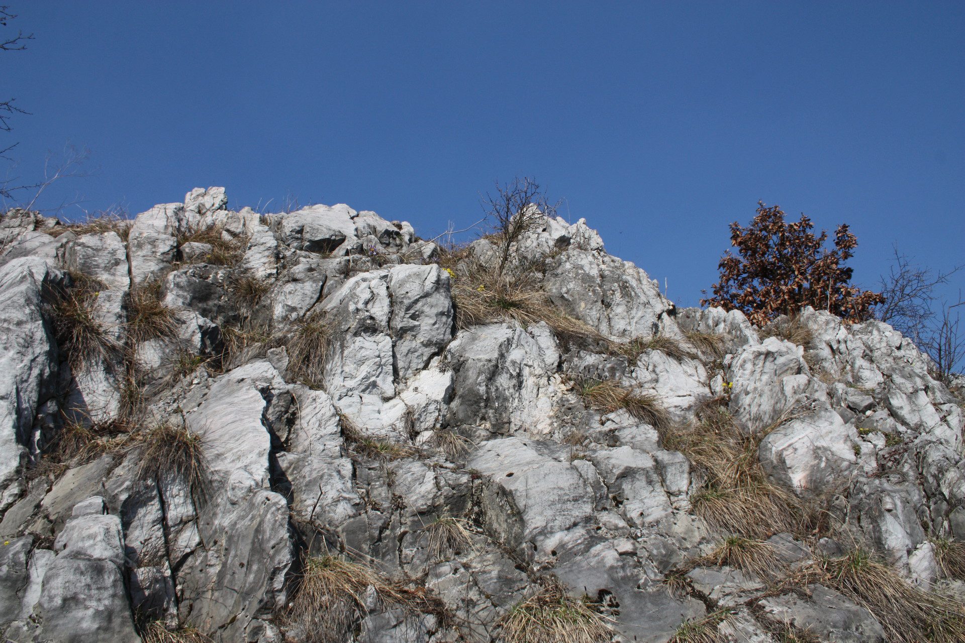 Molnár-szikla