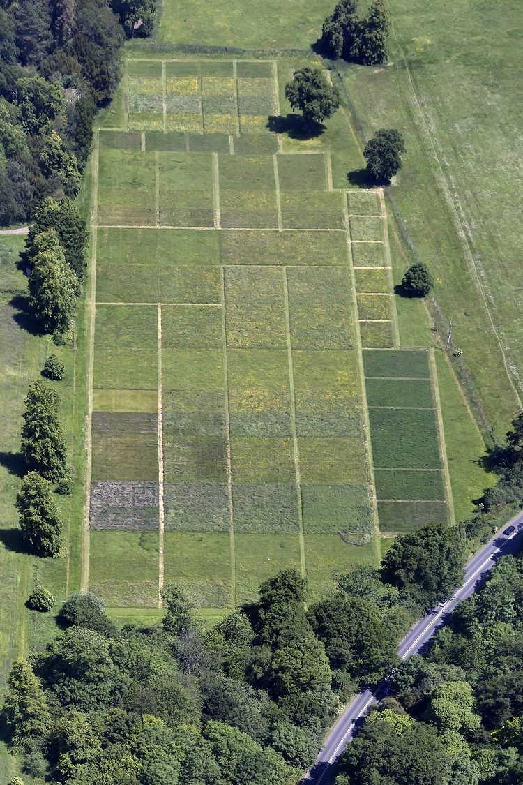 A Park Grass kísérlet változatos parcelláiFotó: Rothamsted Research