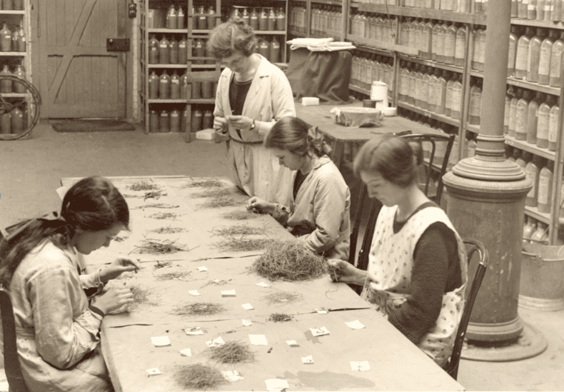A begyűjtött minták határozása az 1930-as évekbenFotó: Rothamsted Research
