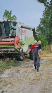 Olasz pizzaliszt lesz a szigetszentmiklósi búzából