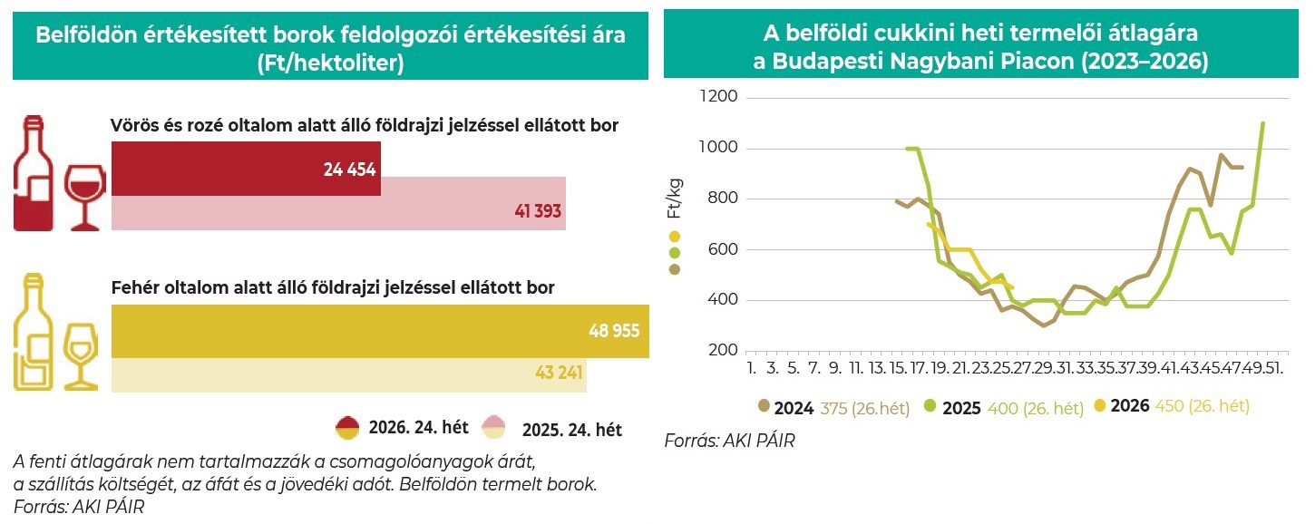 belfoldi_bor_cukkini2_2026_juli