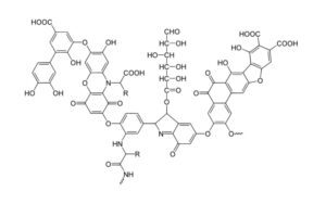 Huminsavalapú biostimulátorok