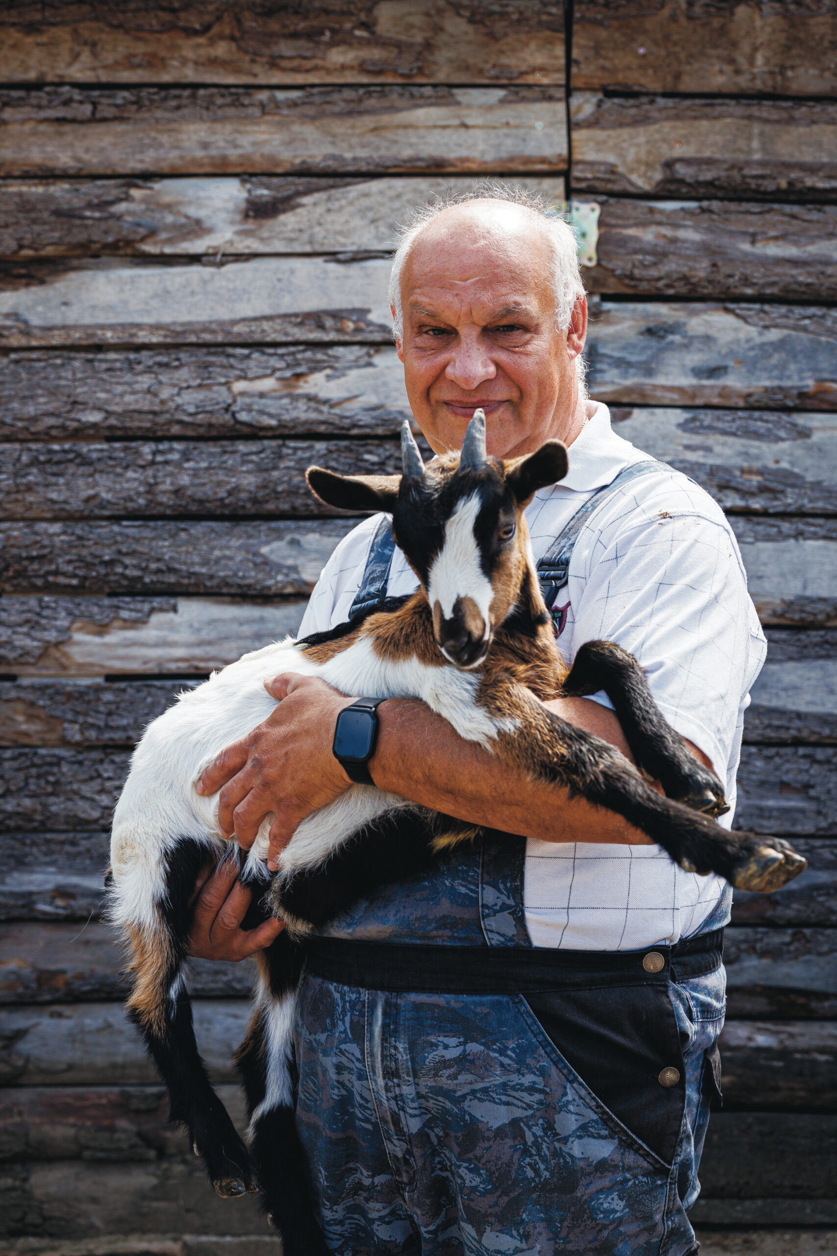 malkócs józsef