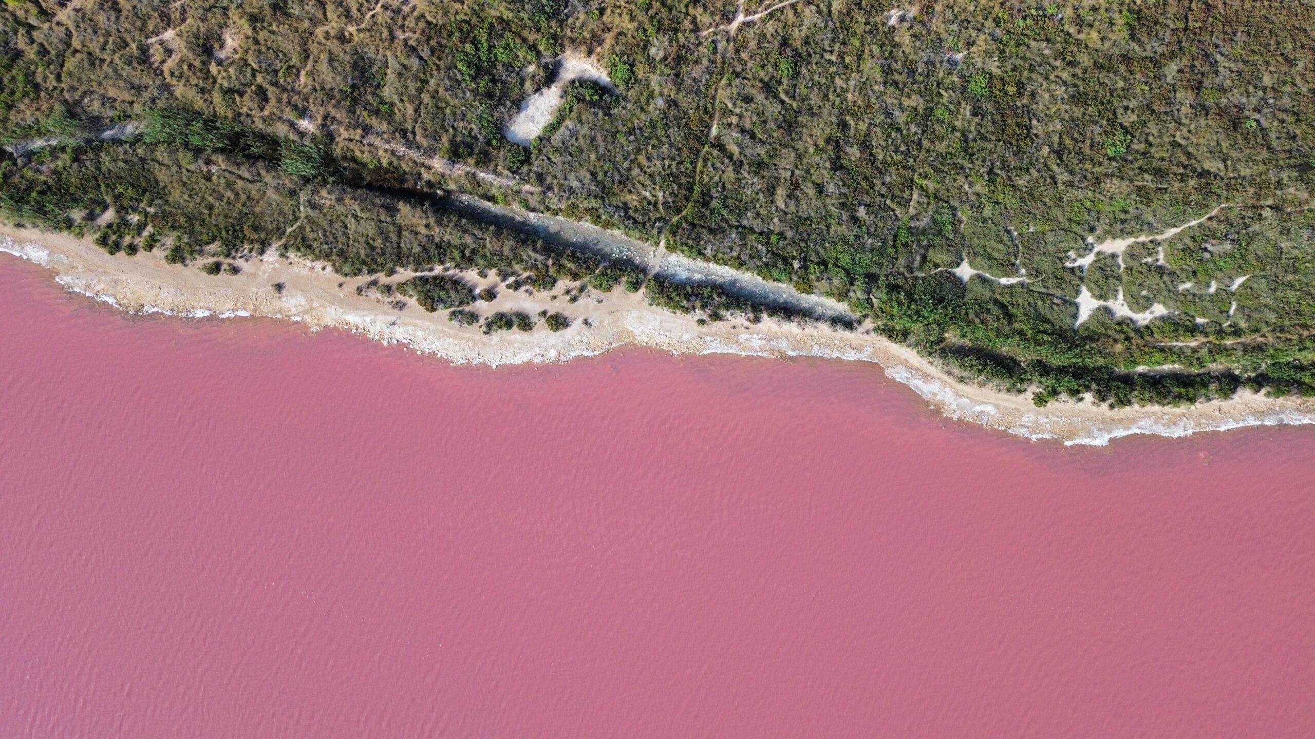 A tó, melyet milliárdnyi élőlény fest rózsaszínre – Laguna Rosa