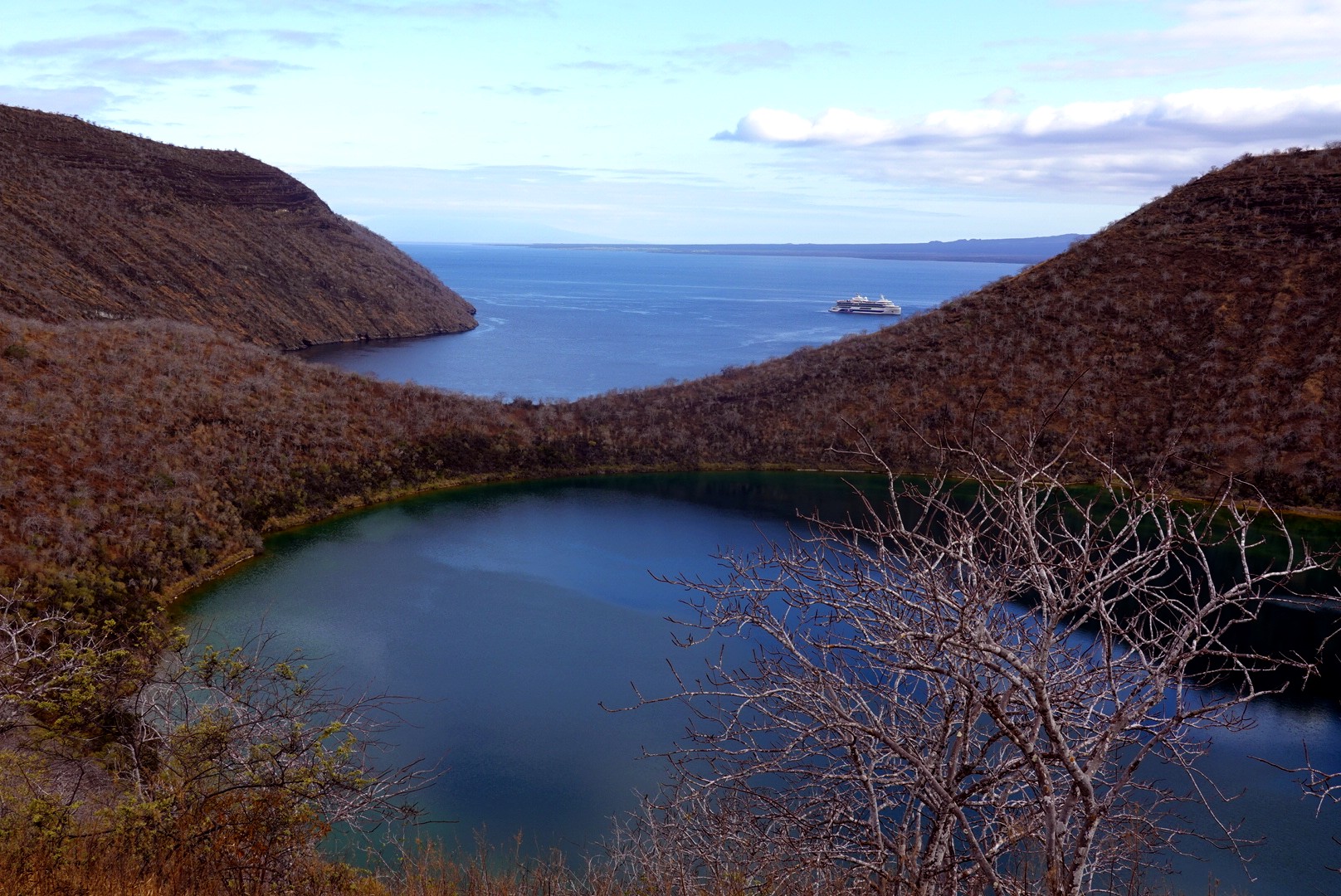  A visszatelepítés egyik helyszíne: Tagus-öböl az Isabela-szigeten galápagos