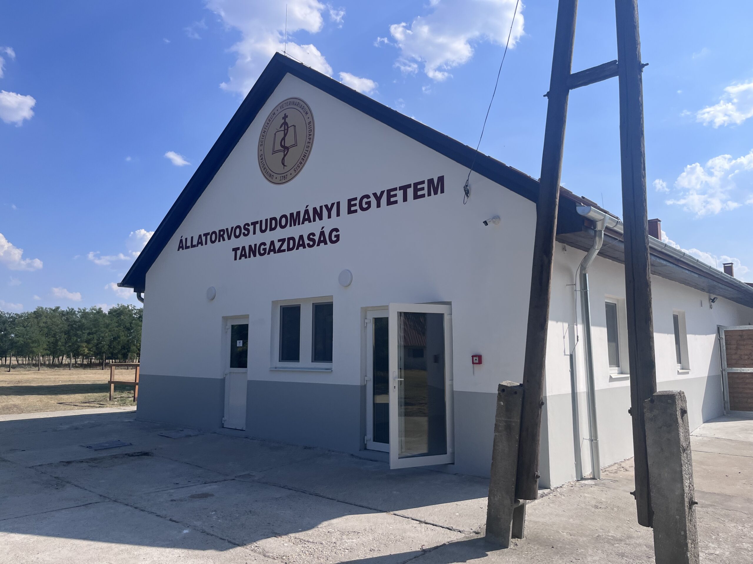 állatorvosi egyetem juhhodály