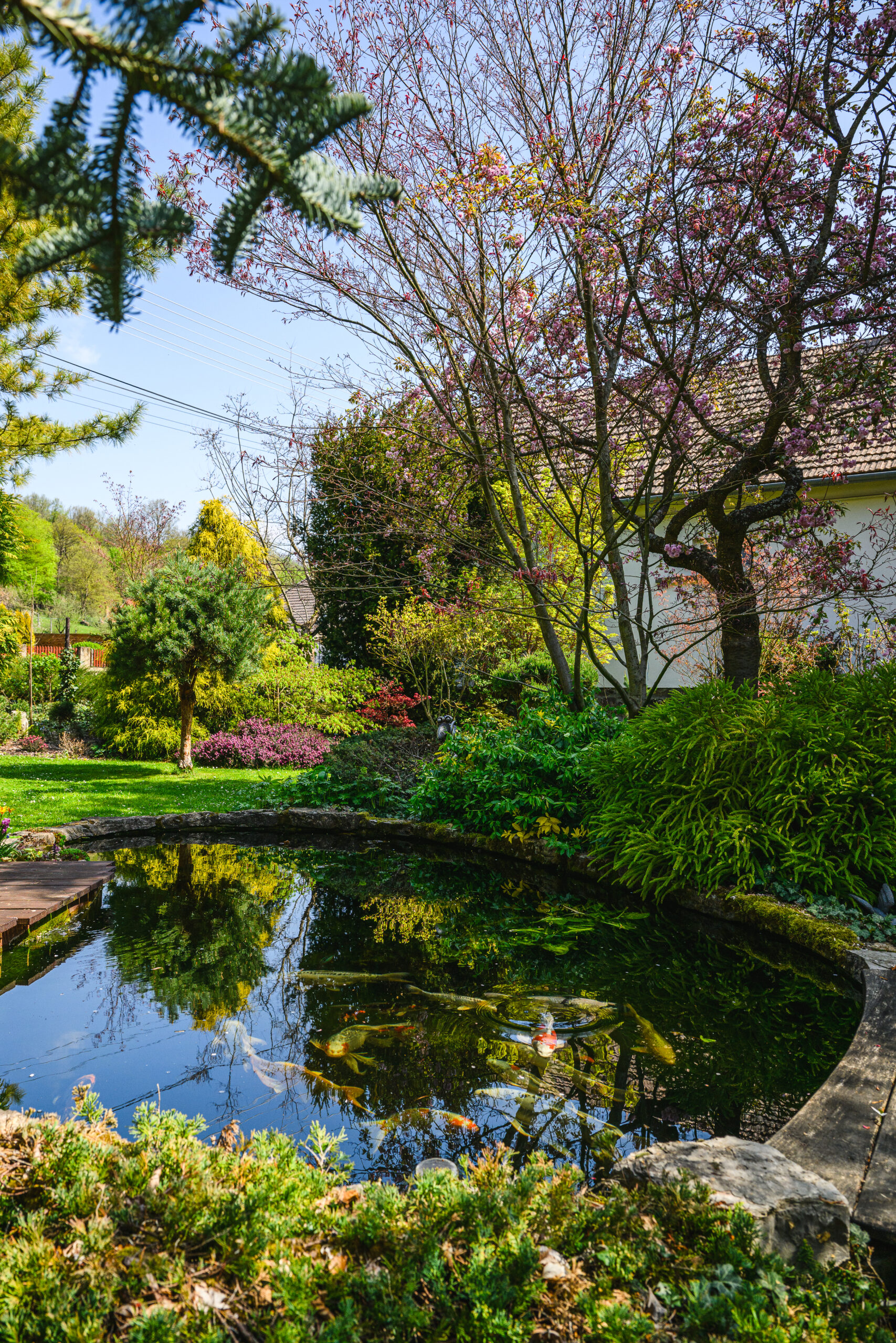 Óbánya arborétum halastó