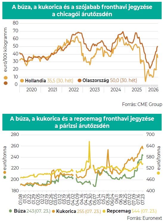 búza kukorica árutőzsde