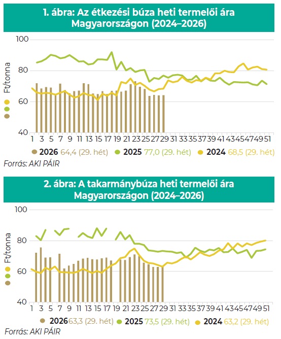 1. ábra: Az étkezési búza heti termelői ára