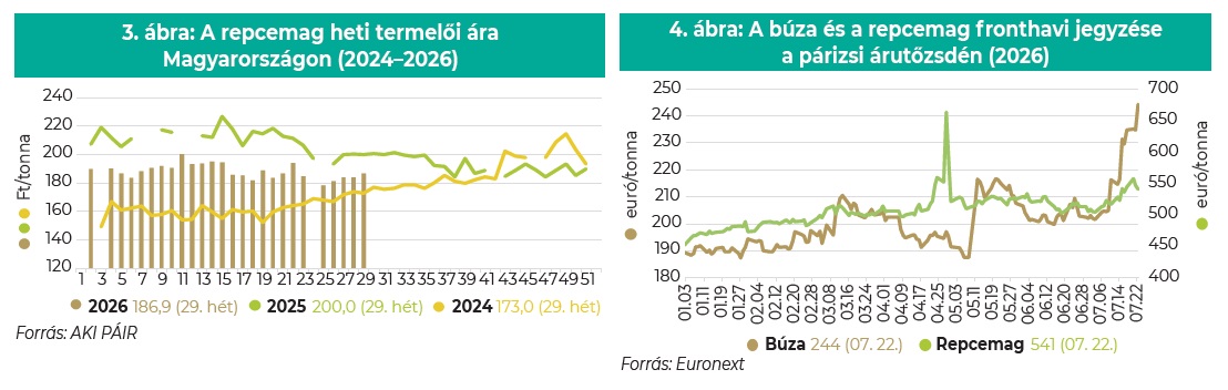 A repcemag heti termelői ára Magyarországon (2024–2026)