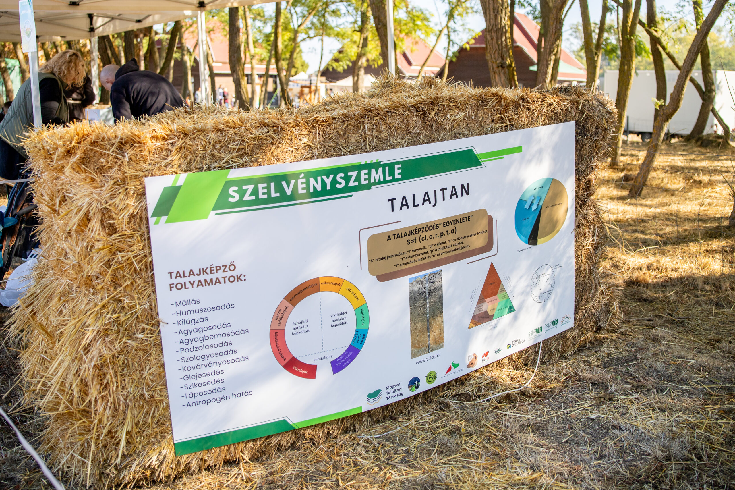 Többet elárul a talajszelvény, mint gondolnánk