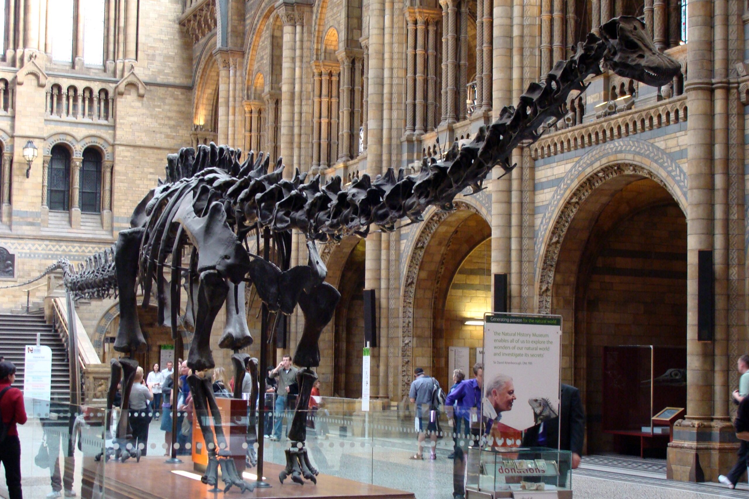 Európából is előkerült egy ikonikus óriás dinoszaurusz csontváza