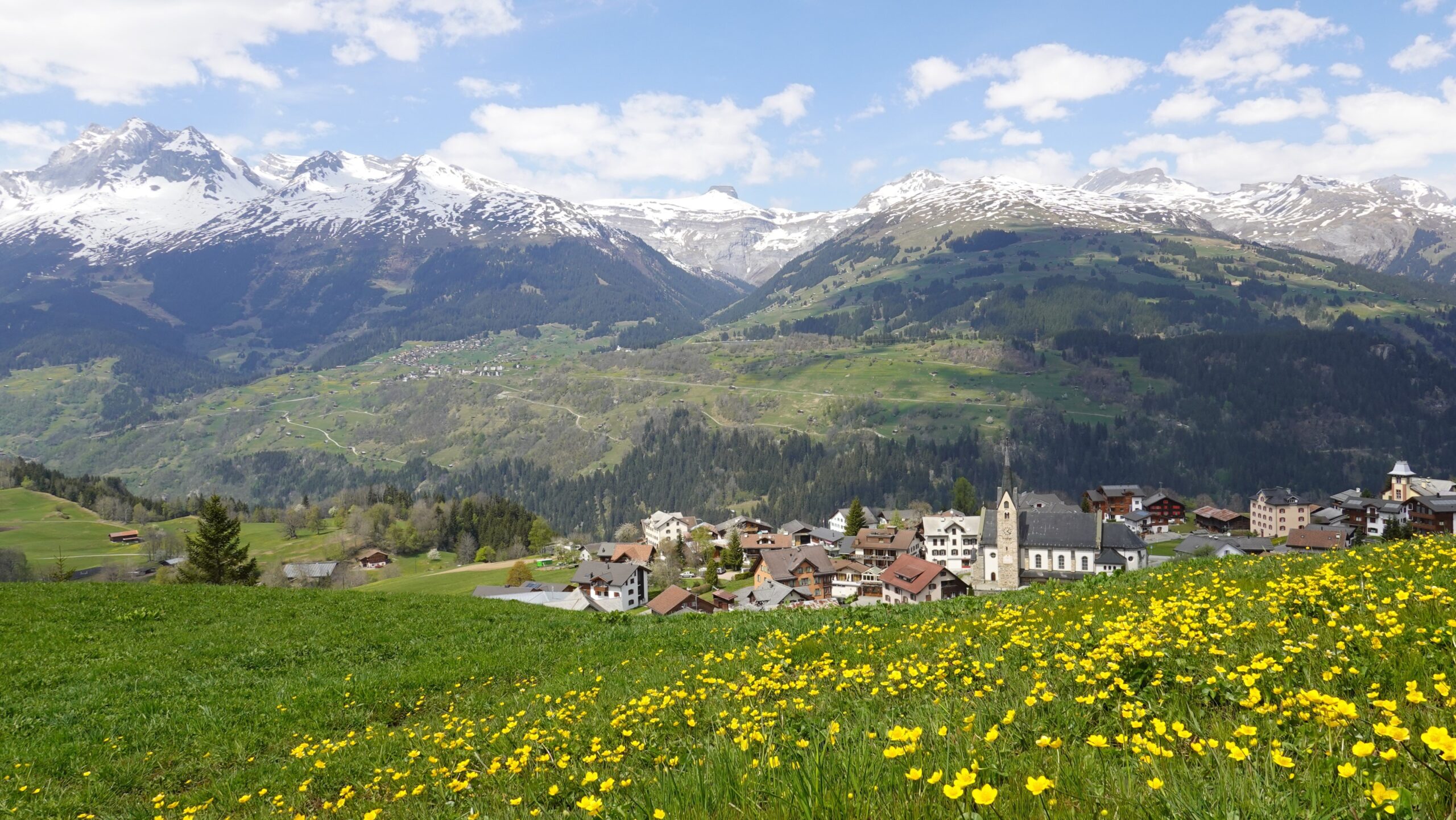 Graubünden svájc alpok hegyek Flora Raetica