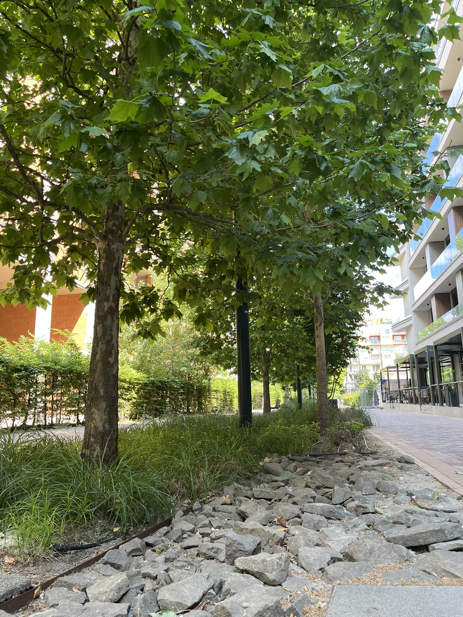 parkfenntartás