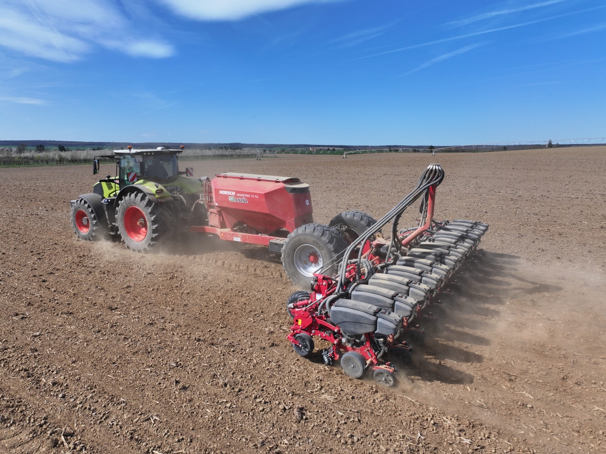 HORSCH Maestro