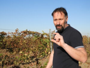 Aranyszínű sárgaság: a Bianca könnyek nélkül hal meg?