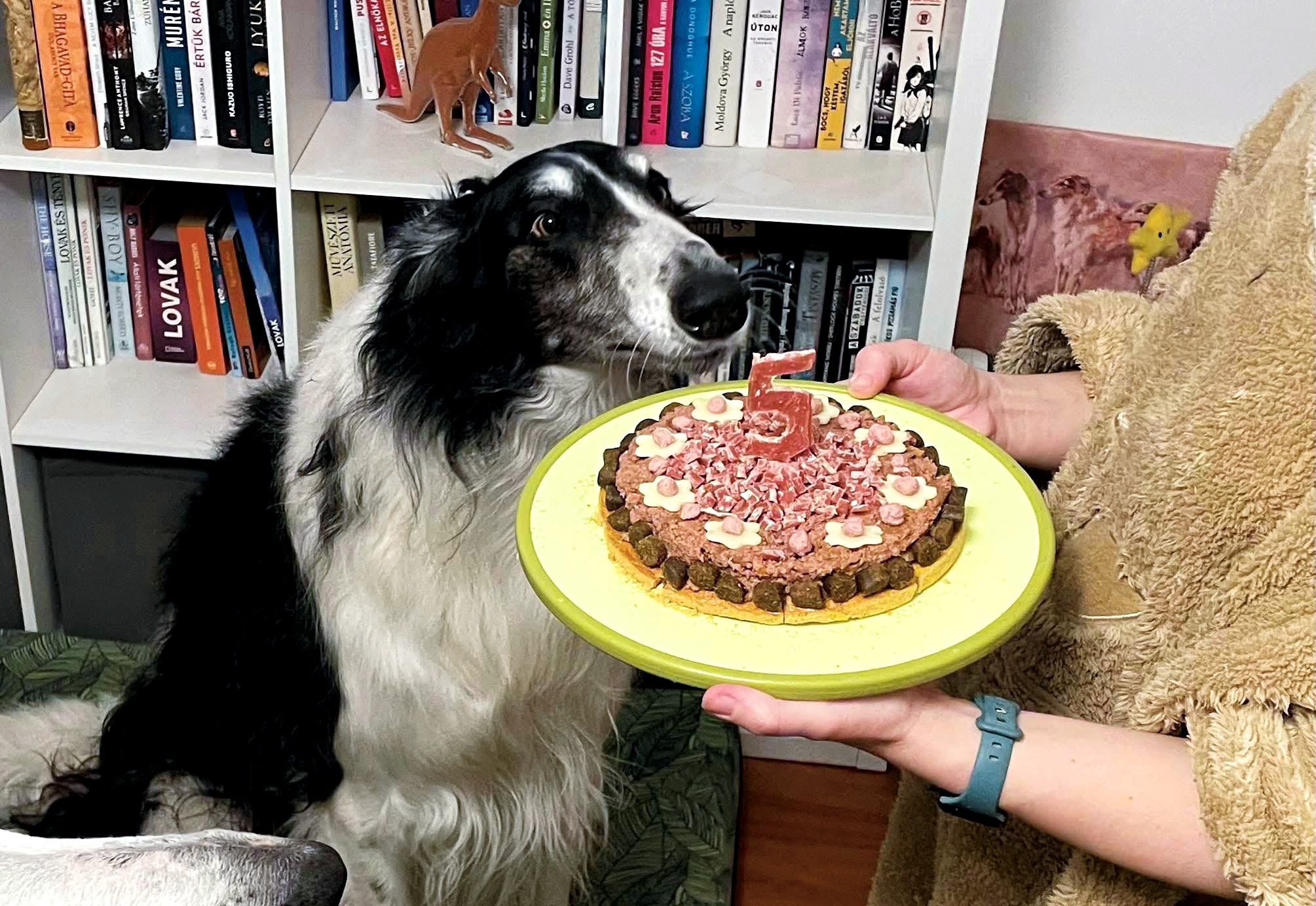 kutya étel torta barzoj