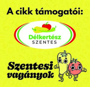 Hazai hajtatás – magas szintű technológia, kiváló minőség