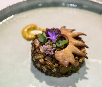 (Fotó: Csatlós Norbert)