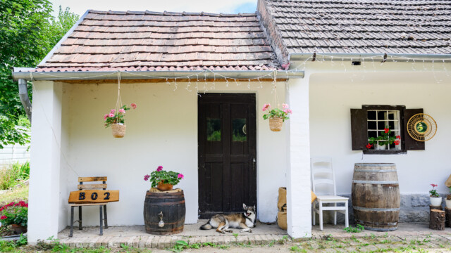 Fotó: Kiss Gergely Tischler Petra kertje