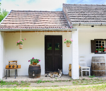 Fotó: Kiss Gergely Tischler Petra kertje