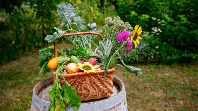 Fotó: Kiss Gergely Tischler Petra kertje