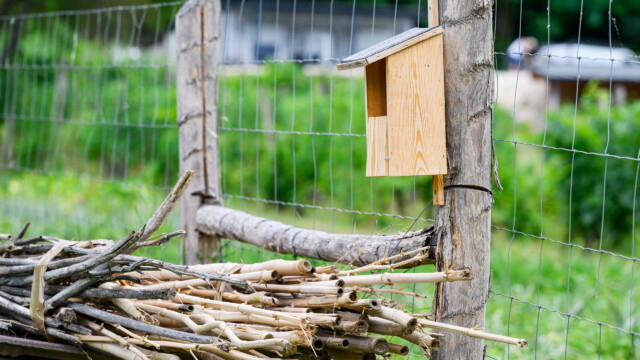 Fotó: Kiss Gergely Tischler Petra kertje