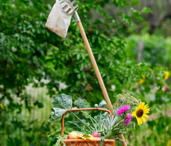 Fotó: Kiss Gergely Tischler Petra kertje