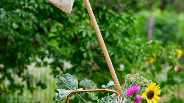 Fotó: Kiss Gergely Tischler Petra kertje