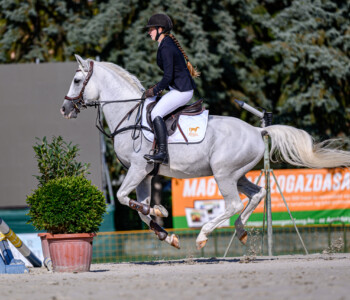 Fotó: Csatlós Norbert 37. Bábolnai Gazdanapok lovas közönségprogram