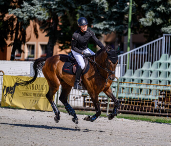 Fotó: Csatlós Norbert 37. Bábolnai Gazdanapok lovas közönségprogram