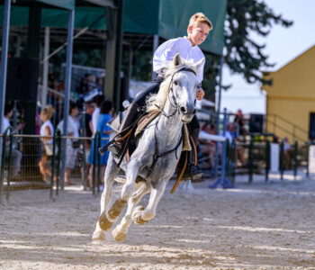 Fotó: Csatlós Norbert 37. Bábolnai Gazdanapok lovas közönségprogram