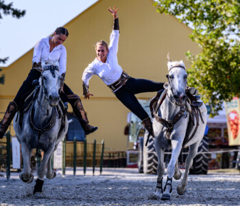 Fotó: Csatlós Norbert 37. Bábolnai Gazdanapok lovas közönségprogram
