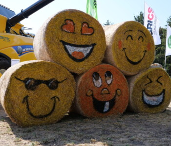 37. Bábolnai Gazdanapok Játékudvar és Gyerekfarm