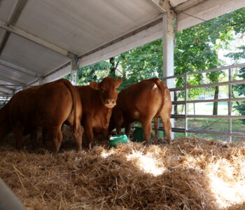 Fotó: Mizsei Károly/MMG KÁN Egyetemi Napok 2024