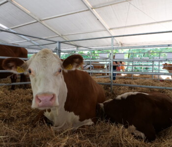 Fotó: Mizsei Károly/MMG KÁN Egyetemi Napok 2024