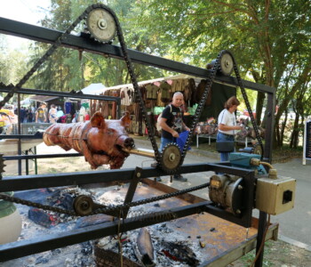 Fotó: Mizsei Károly/MMG KÁN Egyetemi Napok 2024